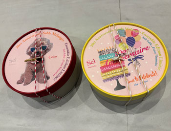 啓発小学校の歯科検診