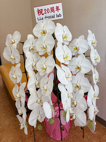 よしだ歯科　開院20周年を迎えました！